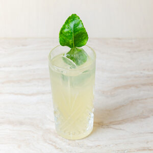 Gerbou Lemonade
