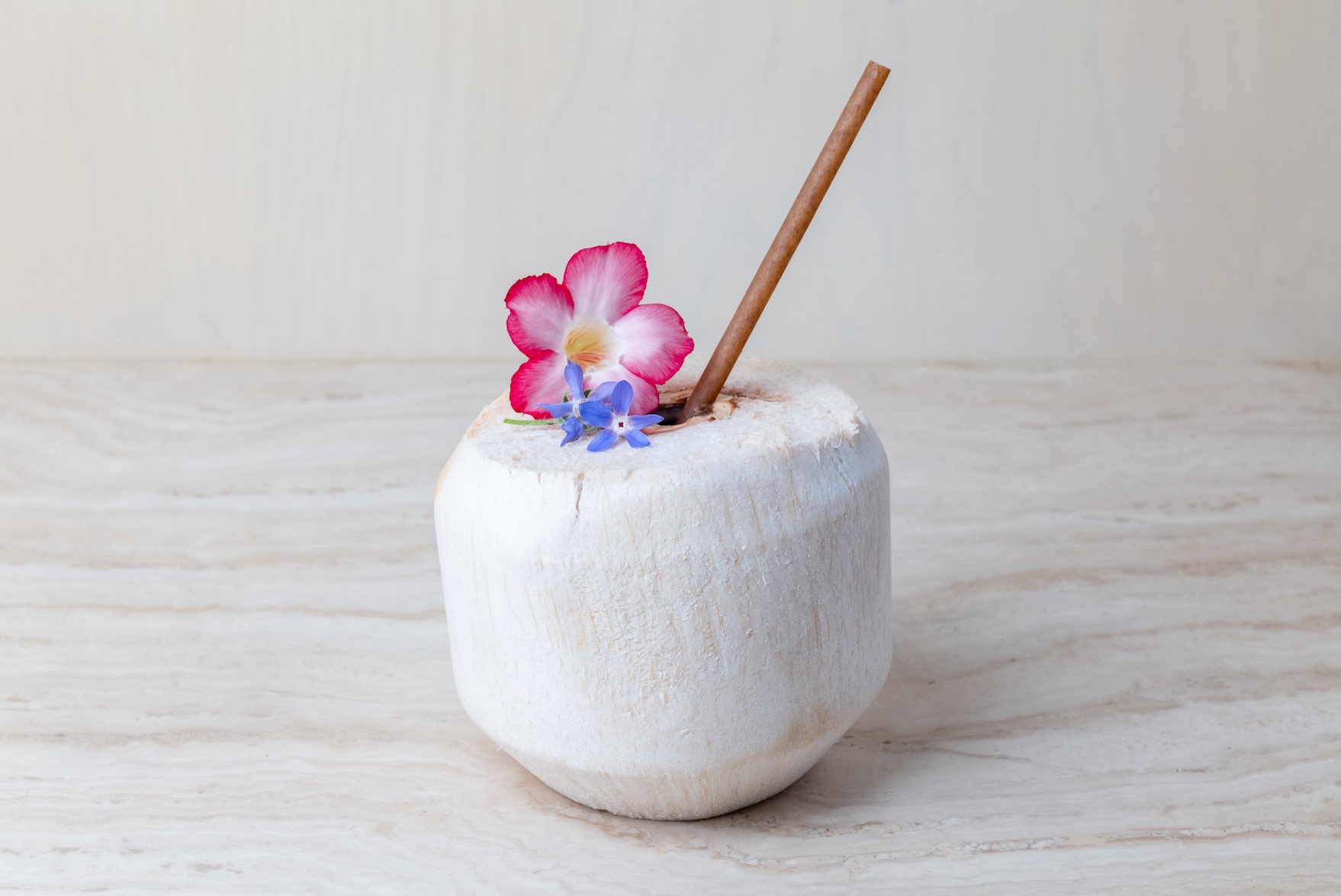 Gerbou Special Coconut Mocktail (D)